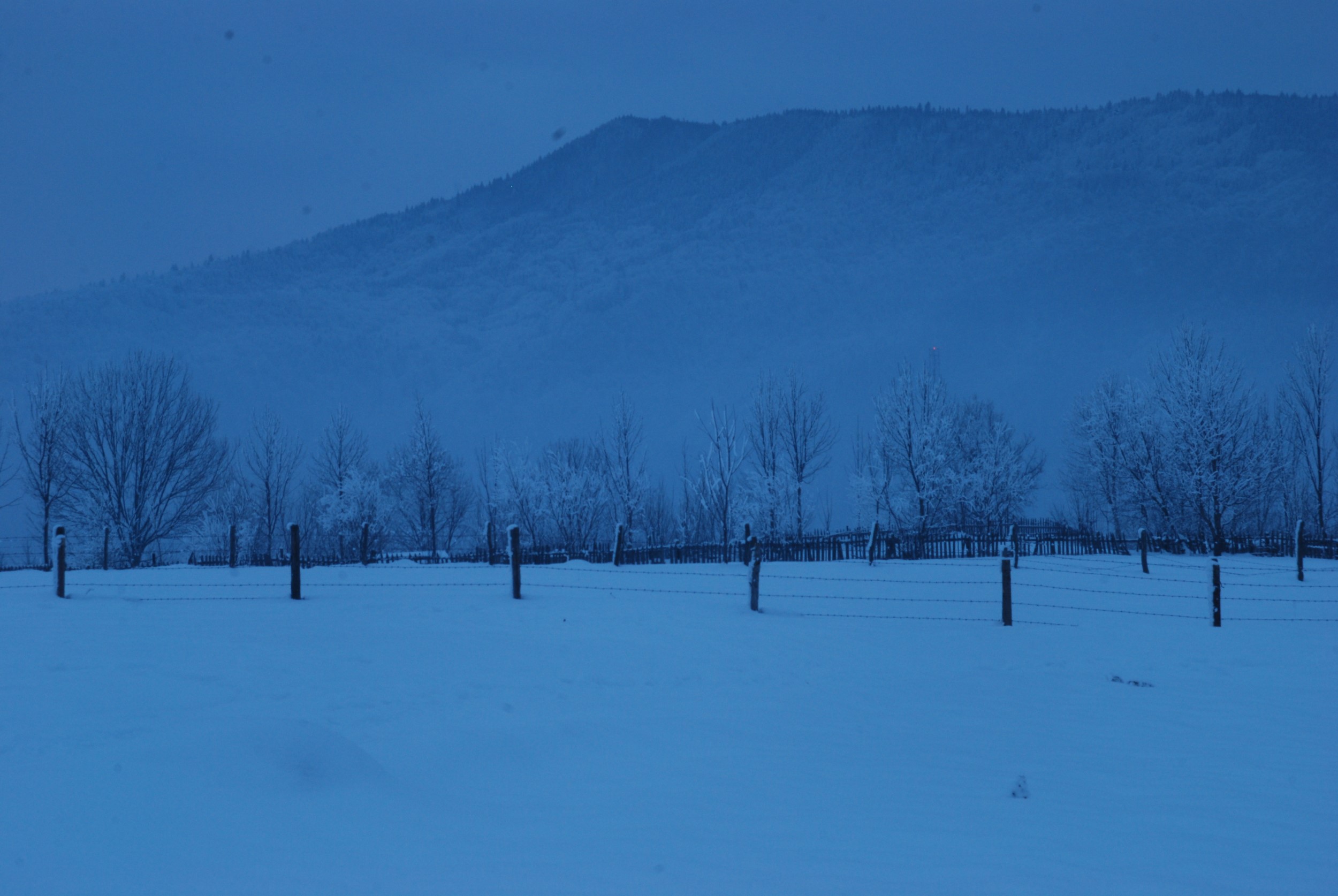 Background